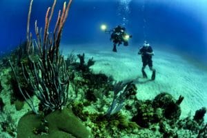 Fun Things To Do While Boating: Diving