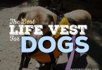 life vest for dogs