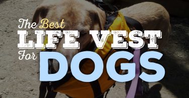 life vest for dogs