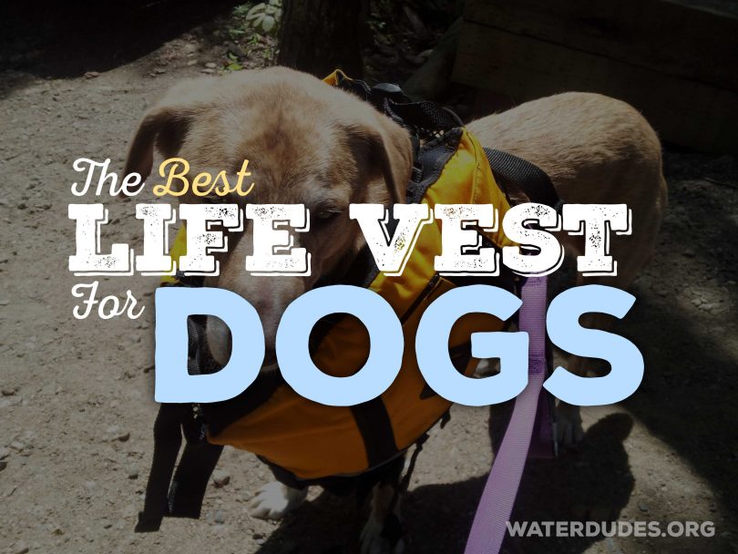 life vest for dogs