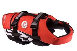 EzyDog Life Vest For Dogs