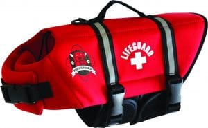 Paws Aboard Life Vest For Dogs